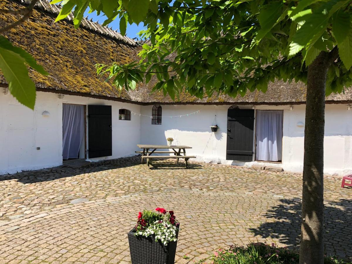 Bed and breakfast Stragarden Nyord Extérieur photo